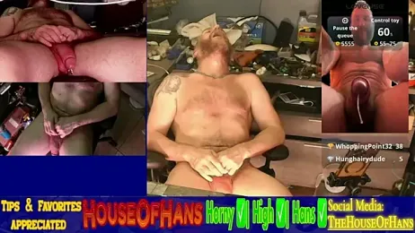 HouseOfHans — Stripchat recorded stream image, 31.03.2026 22:50