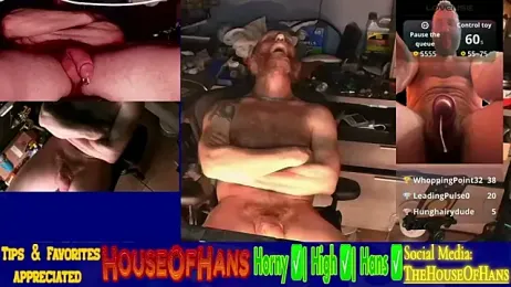 HouseOfHans — Stripchat recorded stream image, 31.03.2026 22:50