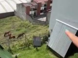 imrebecca — Camsoda recorded stream screenshot (01 Apr 2026)