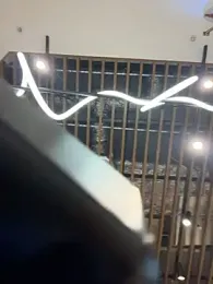 Holly_Play — Stripchat recorded stream screenshot (03 Apr 2026)