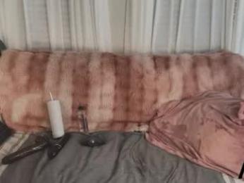 ava_west — Chaturbate recorded stream image, 04.04.2026 12:20