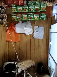 TheBriiaand30 — Stripchat recorded stream screenshot (04 Apr 2026)