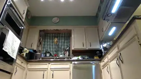 superbearboss — Stripchat recorded stream image, 04.04.2026 23:20