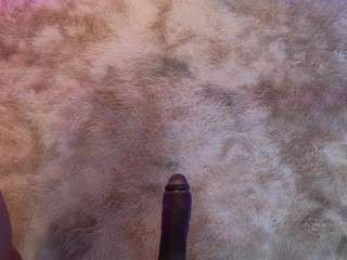 lady-brownn — Camsoda recorded stream image, 07.04.2026 11:30
