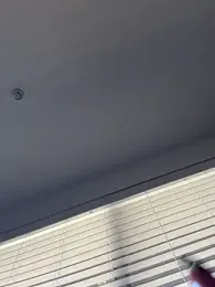 Bigbuttbrooklynn — Stripchat recorded stream image, 07.04.2026 16:10