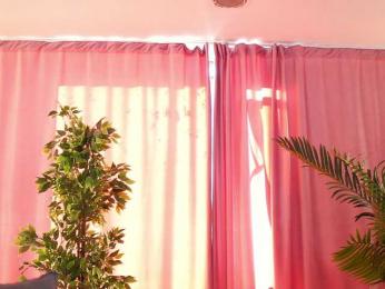 ArtTeasee — Bongacams recorded stream image, 08.03.2025 09:50