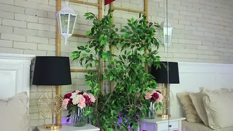 EmillyBronte — Stripchat recorded stream image, 10.04.2026 00:00