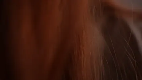 AdritVance — Stripchat recorded stream image, 15.04.2026 13:10