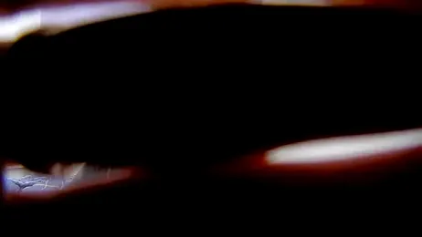 KK-cuteboy — Stripchat recorded stream screenshot (15 Apr 2026)