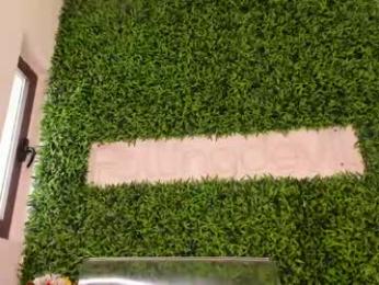 hotfallingdevil — Chaturbate recorded stream image, 23.04.2026 04:40