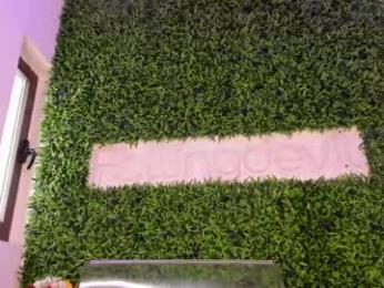 hotfallingdevil — Chaturbate recorded stream image, 23.04.2026 04:40