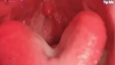 donghuangtaiyi--- — Stripchat recorded stream image, 23.04.2026 11:40