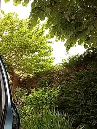 BZH45 — Stripchat recorded stream image, 26.04.2026 07:10