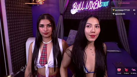 bull_vixen2001 — Stripchat recorded stream image, 02.05.2026 06:30