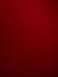 RinaErota — Stripchat recorded stream image, 03.05.2026 16:40