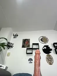 jamilaross — Stripchat recorded stream image, 06.05.2026 20:40