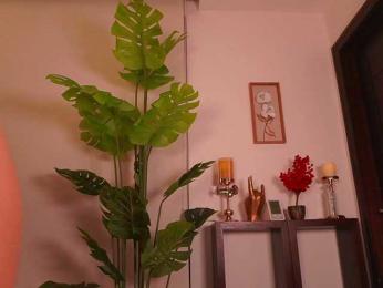 LunaMystyque — Bongacams recorded stream image, 13.05.2026 19:10