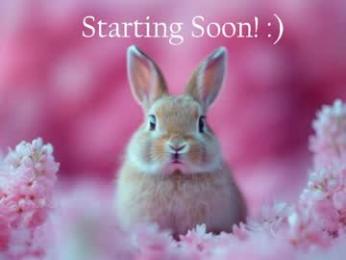 bunnydollstella — Chaturbate recorded stream image, 20.05.2026 22:00