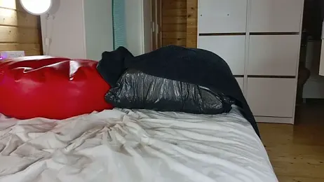 wild41 — Stripchat recorded stream image, 26.05.2026 21:30