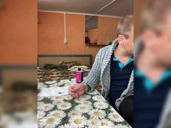 SexyBeast69 — Bongacams recorded stream image, 01.06.2026 20:00
