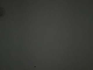 gabyferrer — Camsoda recorded stream image, 12.06.2026 00:50