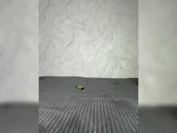 B_A_B_Y___111 — Bongacams recorded stream image, 11.03.2025 09:50