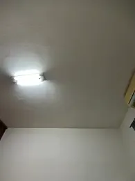 Foxfoxfox4 — Stripchat recorded stream image, 01.07.2026 14:30
