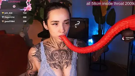 EvaCanton — Stripchat recorded stream image, 05.08.2026 02:40