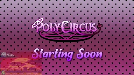 PolyCircus — Stripchat recorded stream image, 07.08.2026 07:30