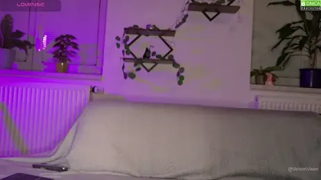 VenomVixen — Stripchat recorded stream image, 26.08.2026 19:20
