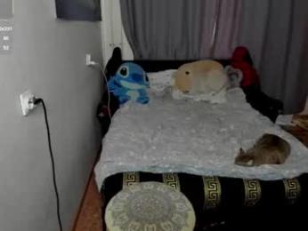 monica_elder — Chaturbate recorded stream image, 08.09.2026 08:00