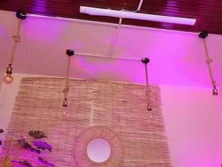 lady-brownn — Camsoda recorded stream image, 17.03.2025 12:00