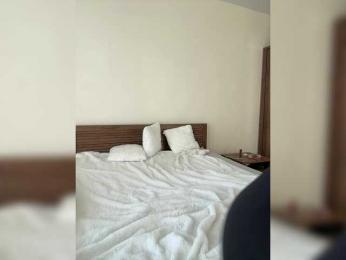 BabyDarii — Bongacams recorded stream image, 20.03.2025 13:40
