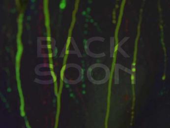 HeyBanana — Bongacams recorded stream screenshot (23 Mar 2025)