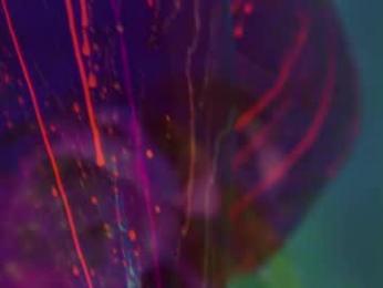 heybanan — Chaturbate recorded stream image, 23.03.2025 20:40