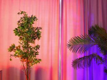 ArtTeasee — Bongacams recorded stream image, 27.03.2025 09:50