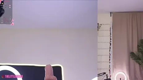 LittleMix_ — Stripchat recorded stream image, 30.03.2025 07:50