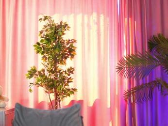 ArtTeasee — Bongacams recorded stream image, 31.03.2025 10:40