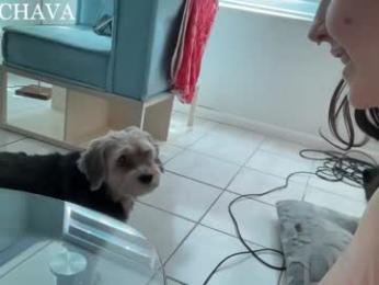 frenchava — Chaturbate recorded stream image, 31.03.2025 17:30