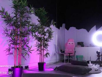 VanesaSimon — Bongacams recorded stream screenshot (02 Apr 2025)