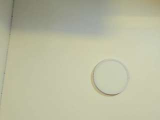 anasstassiia — Camsoda recorded stream image, 04.04.2025 03:30