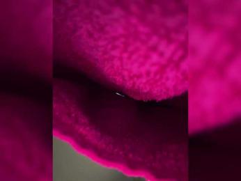 BabyDarii — Bongacams recorded stream image, 04.04.2025 12:30