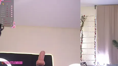 LittleMix_ — Stripchat recorded stream image, 09.04.2025 08:00