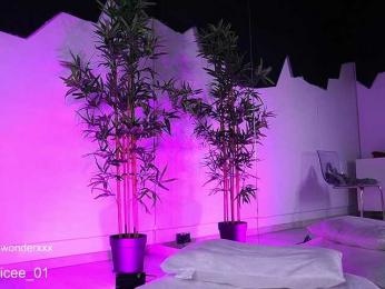 VanesaSimon — Bongacams recorded stream screenshot (10 Apr 2025)