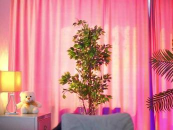 ArtTeasee — Bongacams recorded stream image, 11.04.2025 09:00