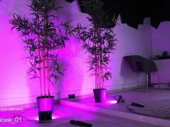 VanesaSimon — Bongacams recorded stream screenshot (16 Apr 2025)