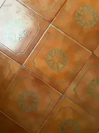 Wet-Pussycat — Stripchat recorded stream image, 18.04.2025 15:30