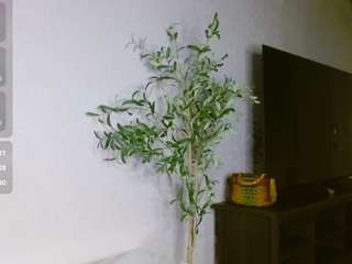 briannabrave — Camsoda recorded stream image, 22.04.2025 06:00