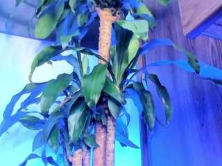 vaiolett-coleman — Camsoda recorded stream image, 25.04.2025 04:00