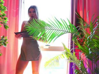 ArtTeasee — Bongacams recorded stream image, 25.04.2025 07:30